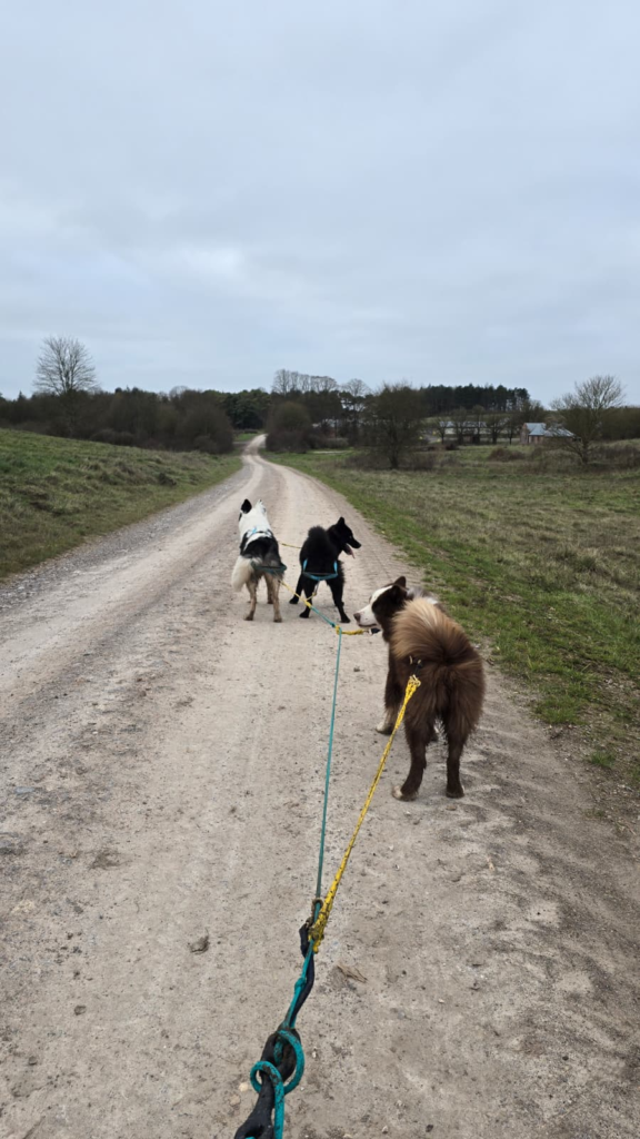 Salisbury Trek