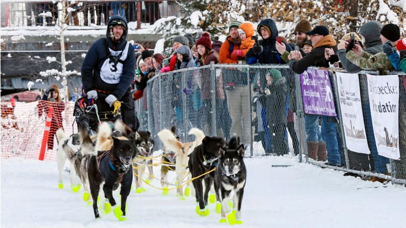brent sass yukon quest 2020 1