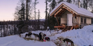 Chloe beatty meet the rookie iditarod 2027 northernwolf (1)
