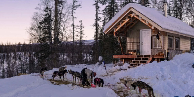 Chloe beatty meet the rookie iditarod 2027 northernwolf (1)