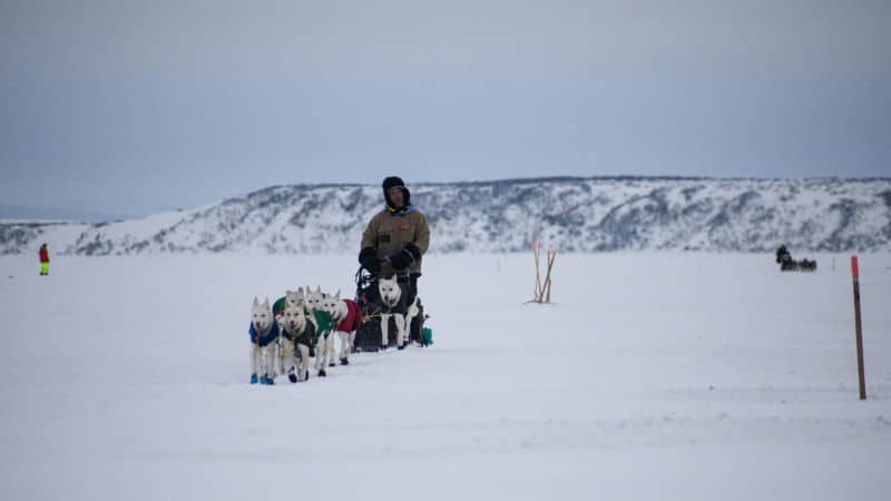 hugh neff kobuk 440 2022 northernwolf 001