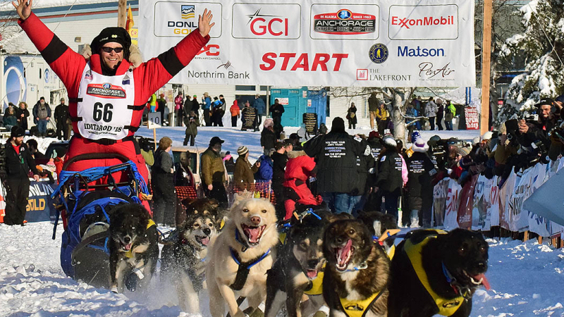 iditarod 2021
