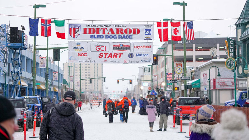 iditarod 2023 entrants