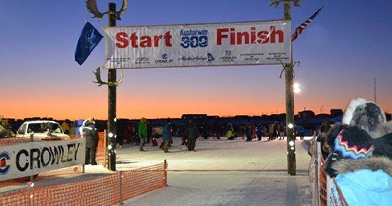kuskokwim 300 sled dog race alaska