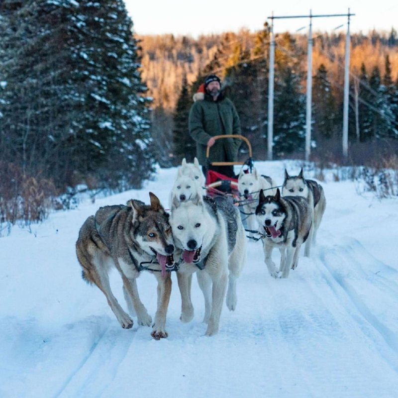 Pic Of Month Feb 2025