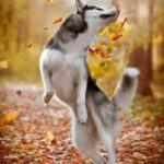 pic of month oct 2023