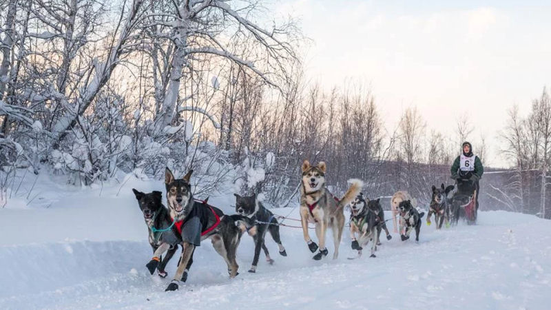 skookum expeditions