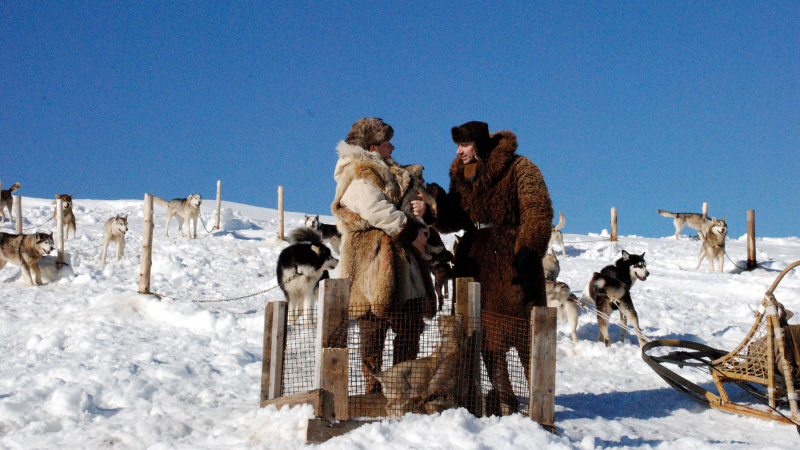 sled dog soldiers 3