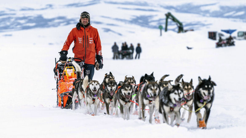 thomas waerner wins iditarod 2020
