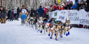 Jody potts joseph iditarod 2026 northernwolf