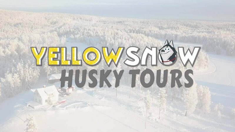 yellow snow husky tours northernwolf