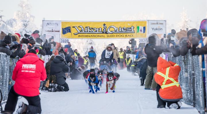 yukon quest 2020