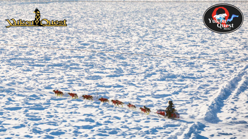 yukon quest